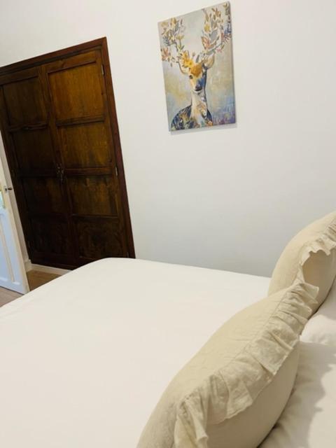 El Balsamo-Singular'S Hotels - Hotel Boutique 5 Estrellasベルモンテ エクステリア 写真